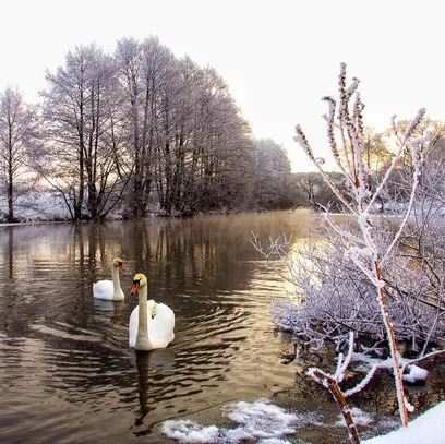 Photo de Mireille SCHALBURG PONSOT