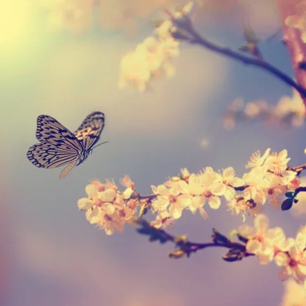 Photo de Elise MOUNIER